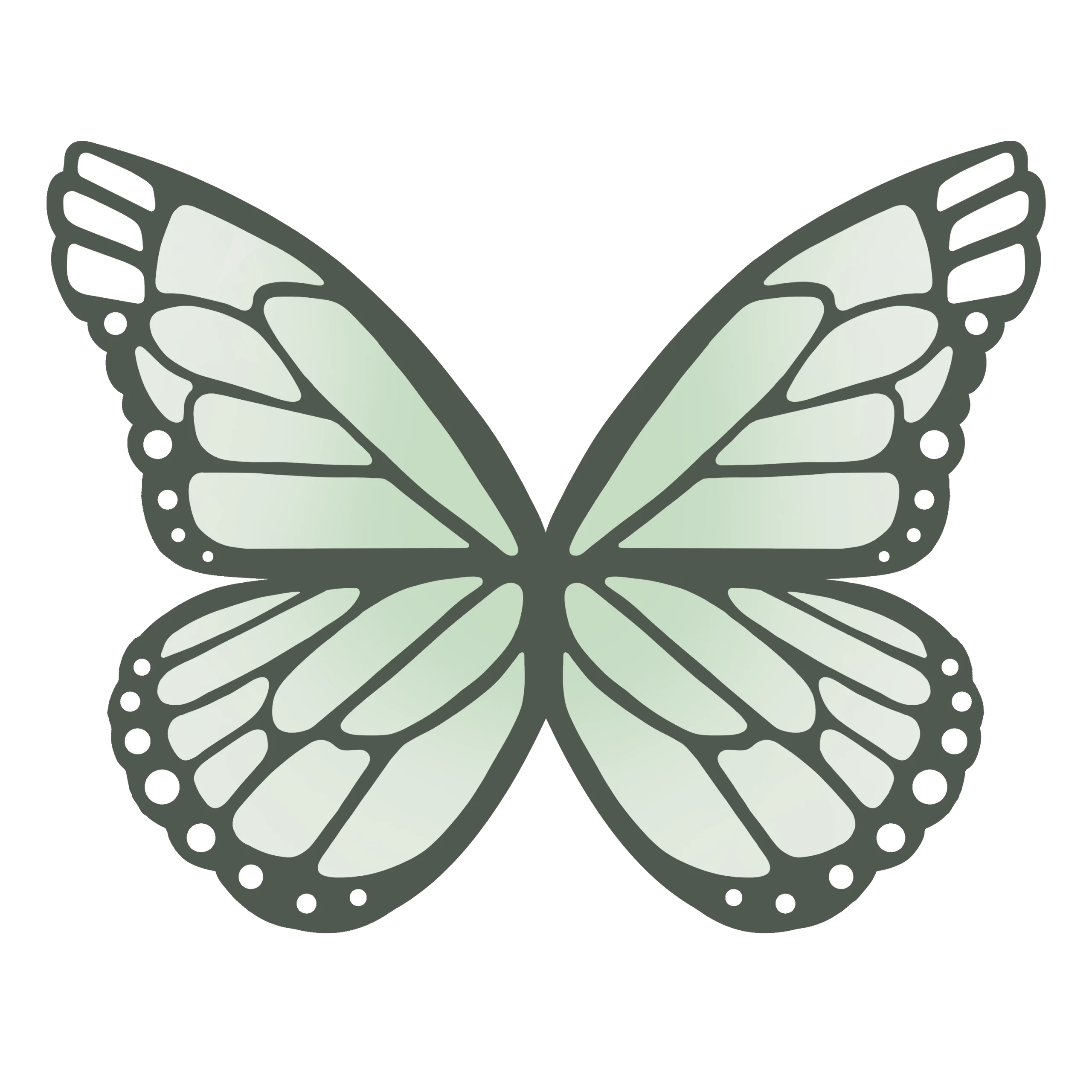 MyPsyche Butterfly